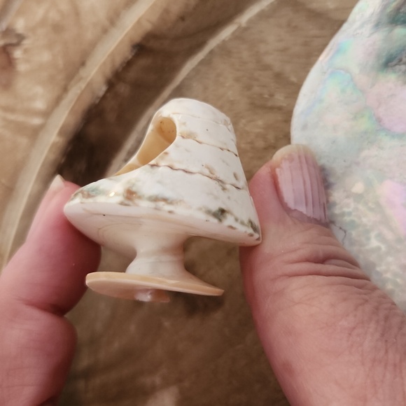 Sea Shell Ring - Picture 7 of 7